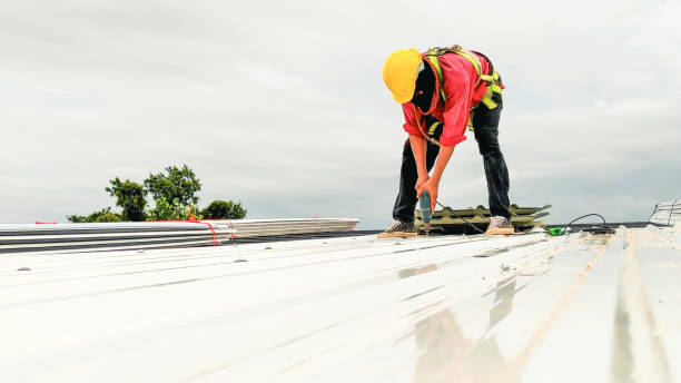 Best Sheet Metal Roofing  in Pulaski, WI